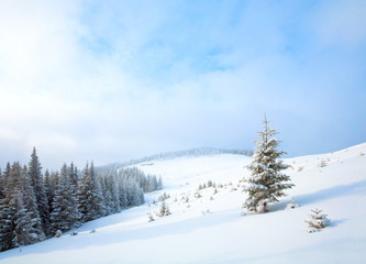 winter mountain landscape