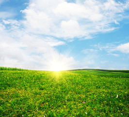 Beautiful pattern of bright, green tea garden on the hill