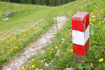 Auf dem richtigen Weg