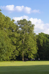 peoples chilling under a big tree in Margitsziget