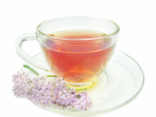 herbal tea with medical flowers