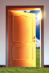 Opened door to blue sky with sun and grass - conceptual image