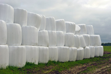 Countryside field with hay bale wrapped in plastic on claudy day