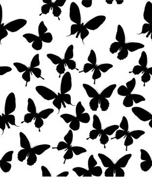 background with black butterflies
