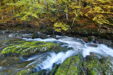 Obraz premium Creek in Ordesa