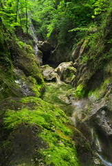 big stone with moss on foregrounds