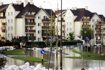 Flood in the city