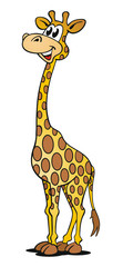 Naklejka premium Giraffe stehend lachend