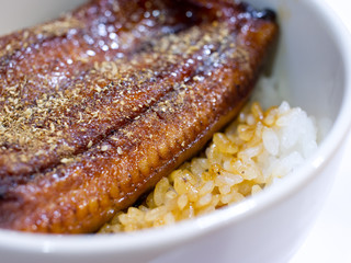 Bowl of eel and rice#2
