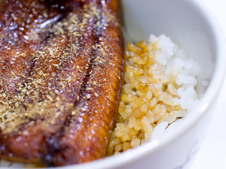 Bowl of eel and rice