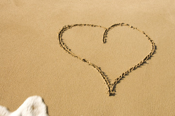 heart in the sand