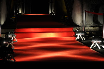 red carpet film festival gala charity premiere music award film award golden globe emmy oscar MTV...