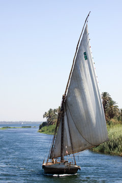 nile cruise