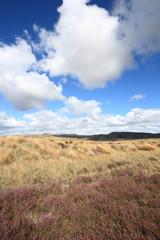 Fototapeta premium Waikato - region in New Zealand