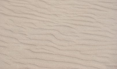 Spiaggia spazzata dal vento