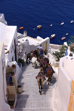 Les Cyclades