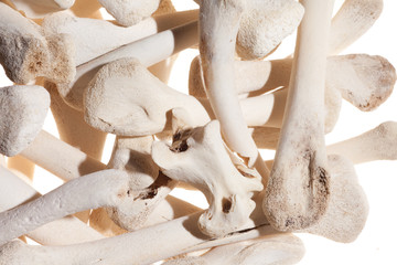 Heap of Bones