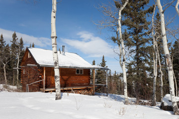 Log Cabin in winter