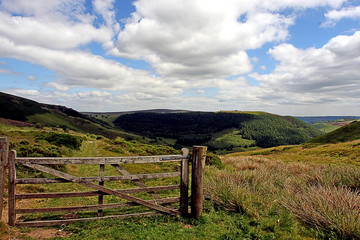 Gate