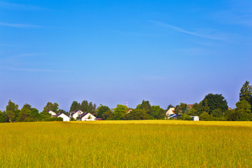 new housing area near the meadow in beautiful landscape