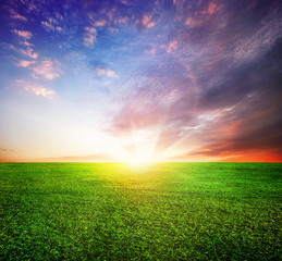 Green Field and Beautiful Sunrise