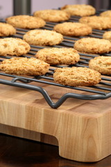oatmeal cookies