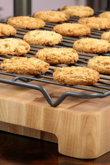 oatmeal cookies