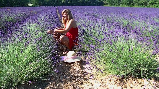 jeune fille blonde qui cueille des brins de lavande