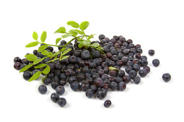 Wild blueberries