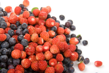 Wild strawberries and blueberries