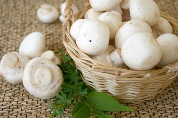 Champignons im Körbchen