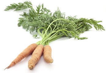 carrots with stems