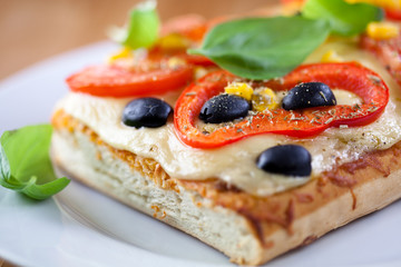 Portion of homemade pizza