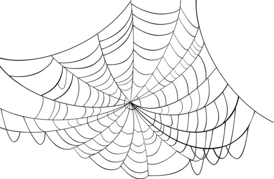 simple black web illustration