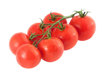 Fresh tomatoes on the white background