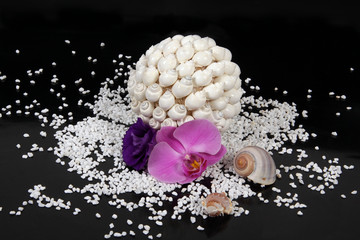 Orchideé © Klaus Eppele