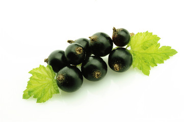 Black currant