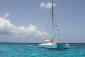 Obraz na płótnie Canvas catamaran in saona beach