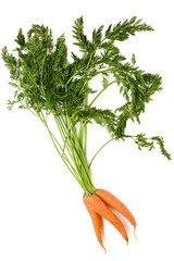 Fresh raw carrots on white background
