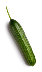 Fresh green cucumber on white background