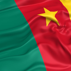 Cameroon flag picture