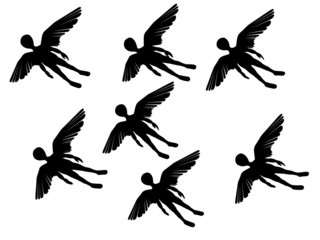 wings