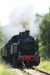 Fototapeta na wymiar Mały pociąg z Anduze