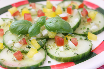 Gurkensalat mit Paprika