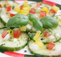 frischer Gurkensalat