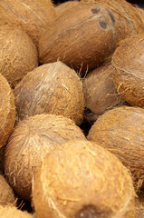 Market coconuts.