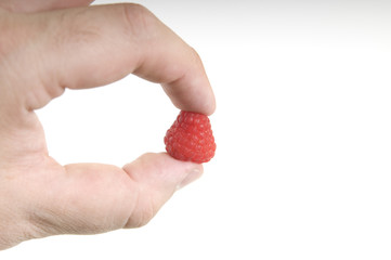 Raspberry fruit in man hand on white background