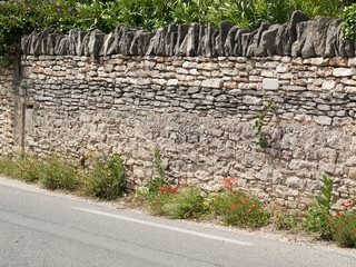 Mur de pierres sèches avec fleurs