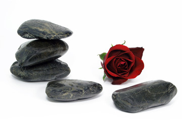 steine mit rose