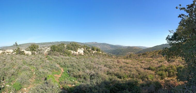 Mediterranean hills landscape